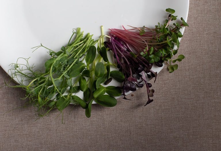 mix salata